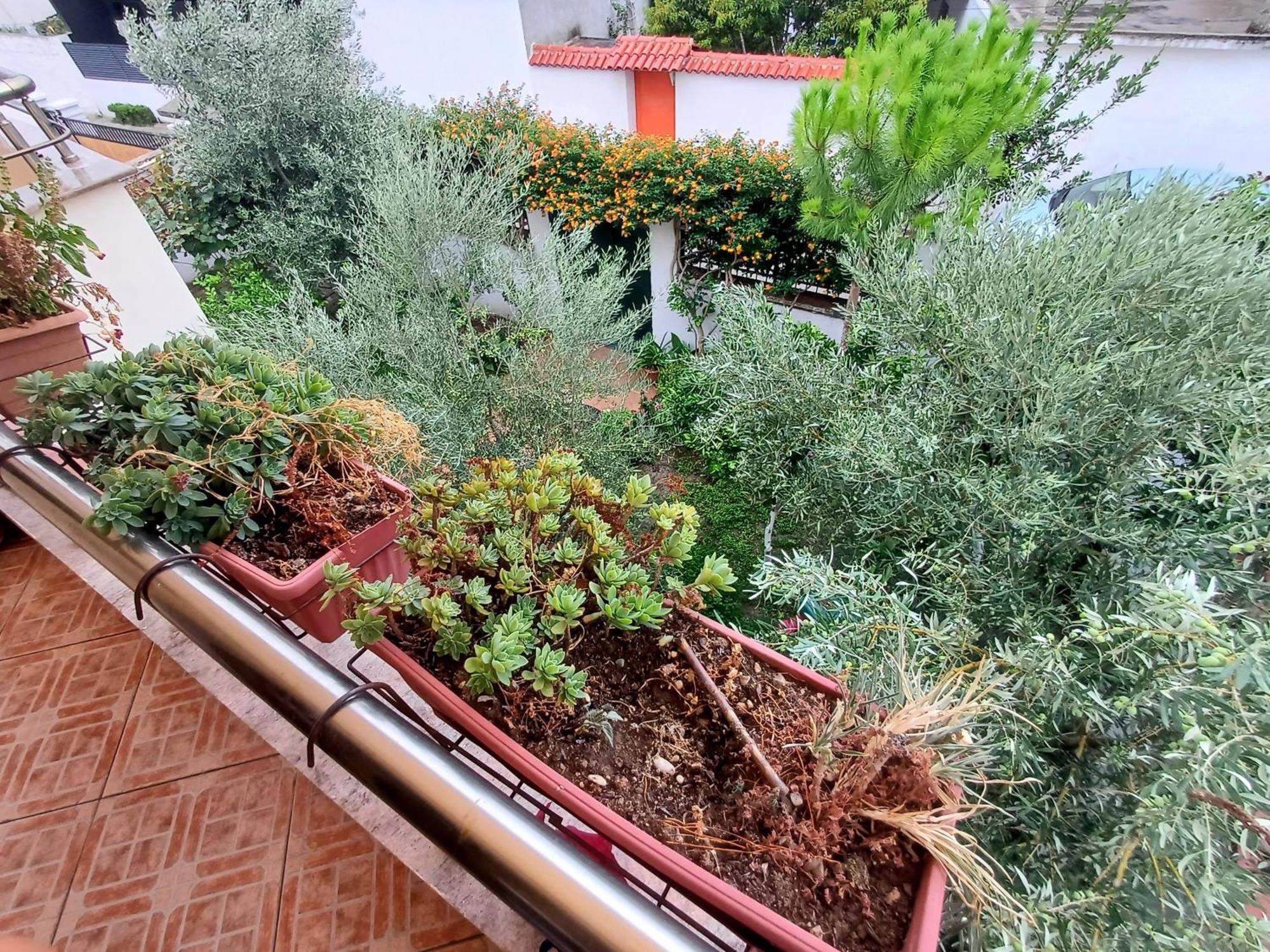 Guest Room Near Historical Center Vlorë 外观 照片